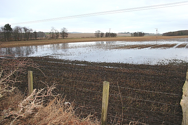 Campo paludoso con acqua superficiale ristagnante dopo abbondanti precipitazioni