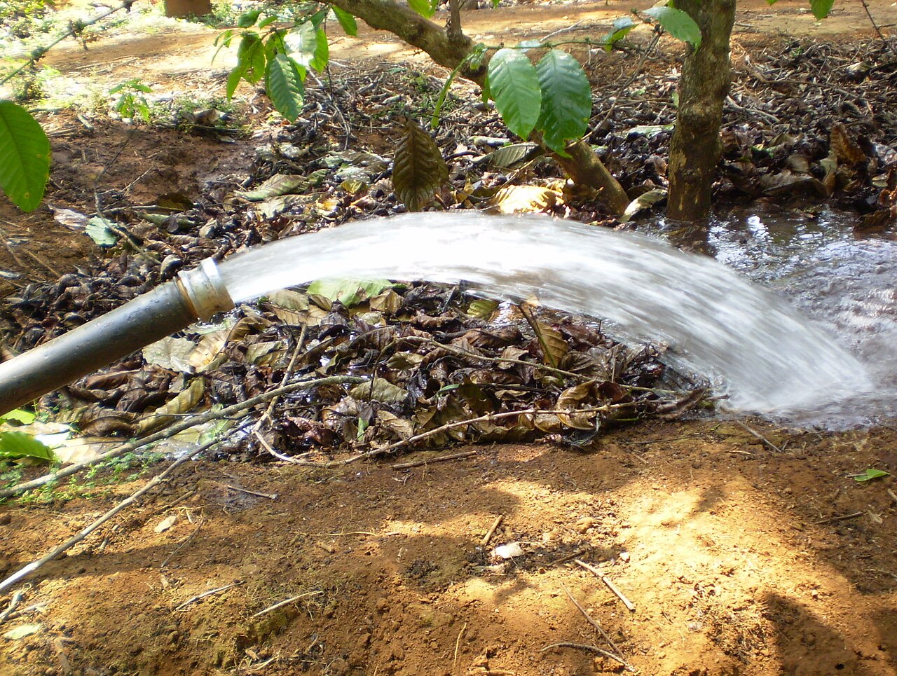 Tubo di irrigazione che annaffia il terreno