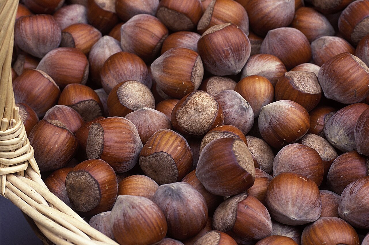 cesta di nocciole europee