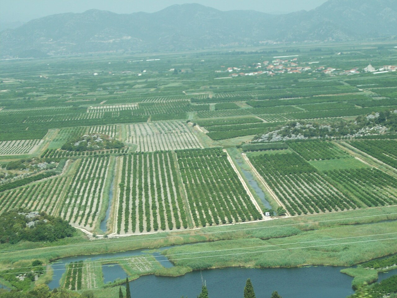 vista aerea di noccioleti