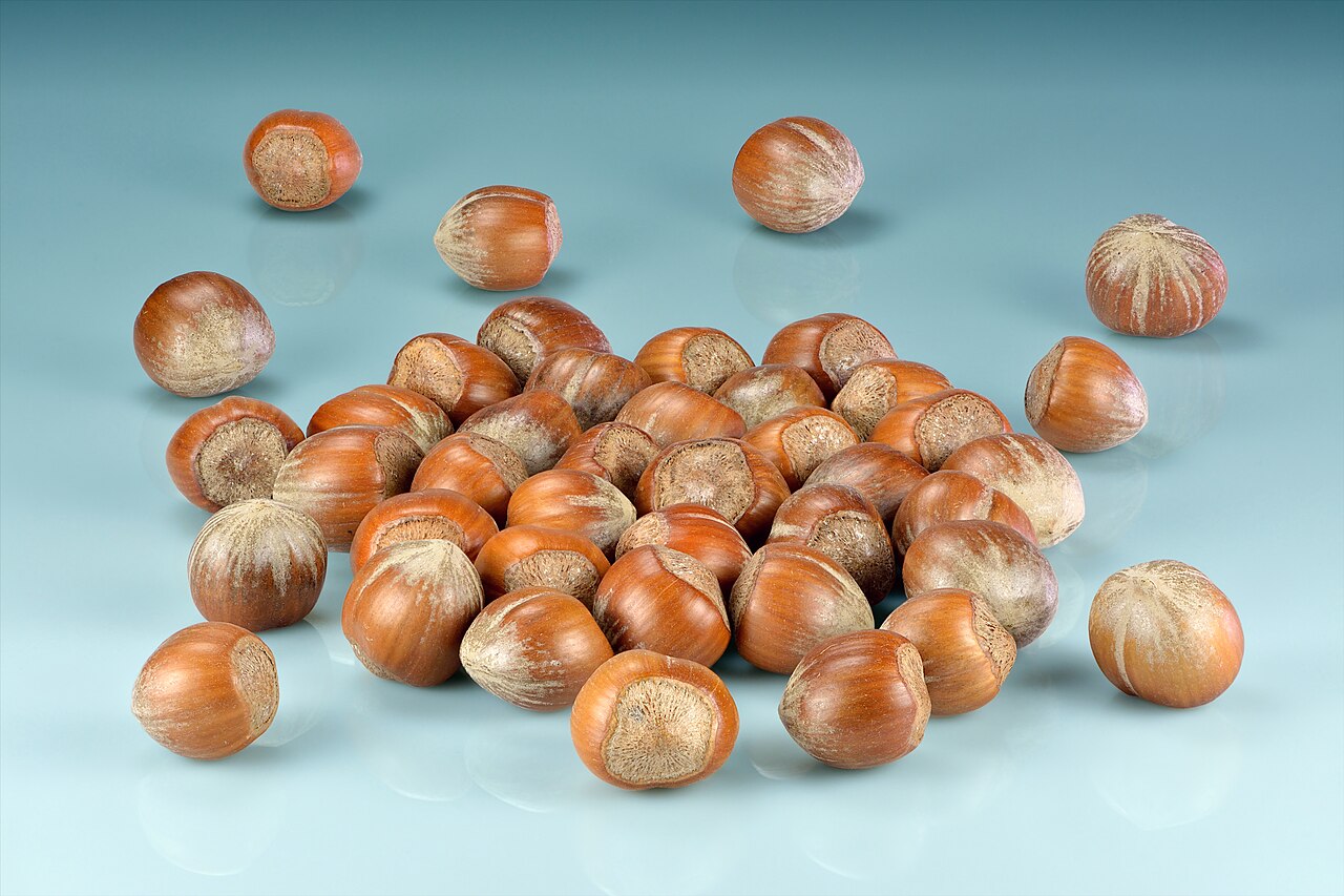 Diverse varietà di nocciole esposte