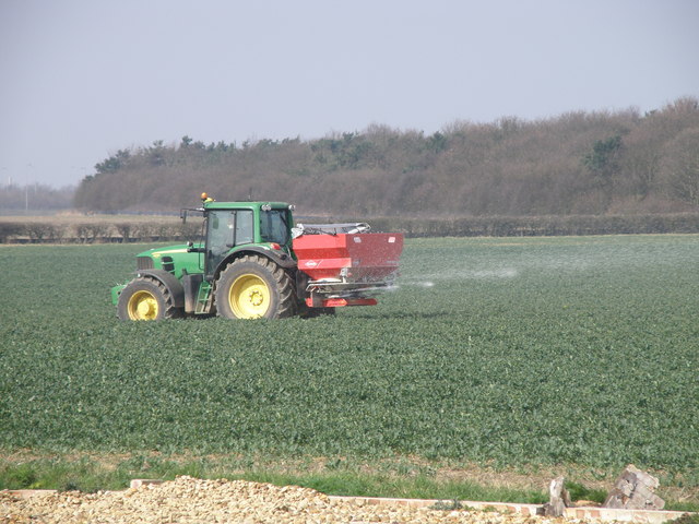 Spanditura di urea granulata sulla superficie