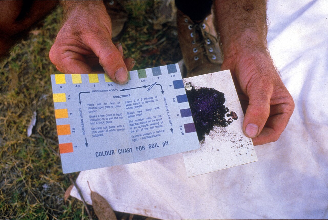 Determinazione del valore di pH del suolo — un pH basso riduce drasticamente l'assorbimento di azoto e potassio