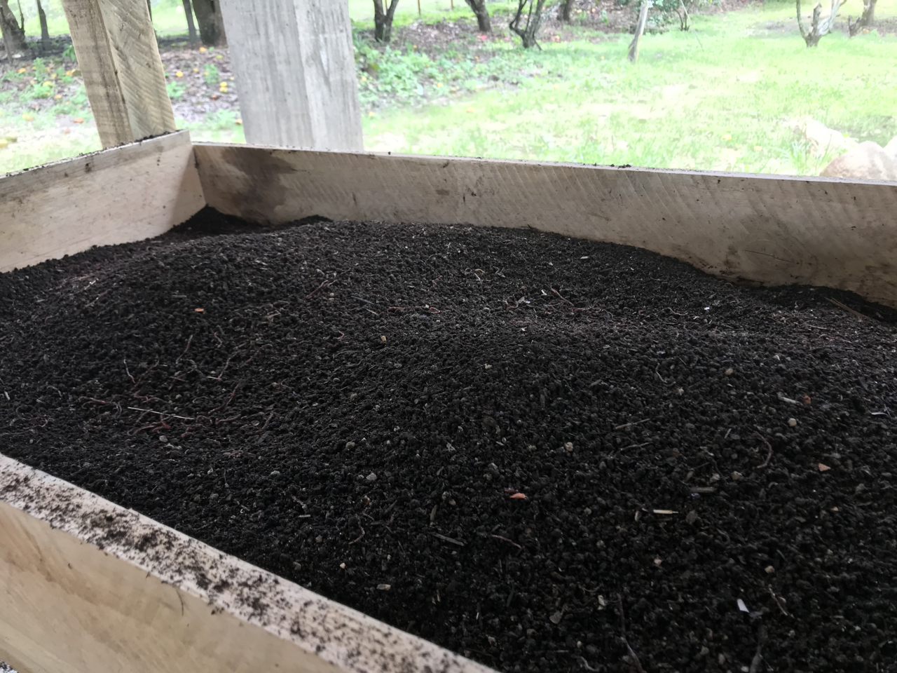 Vermicompost (humus di lombrico) setacciato