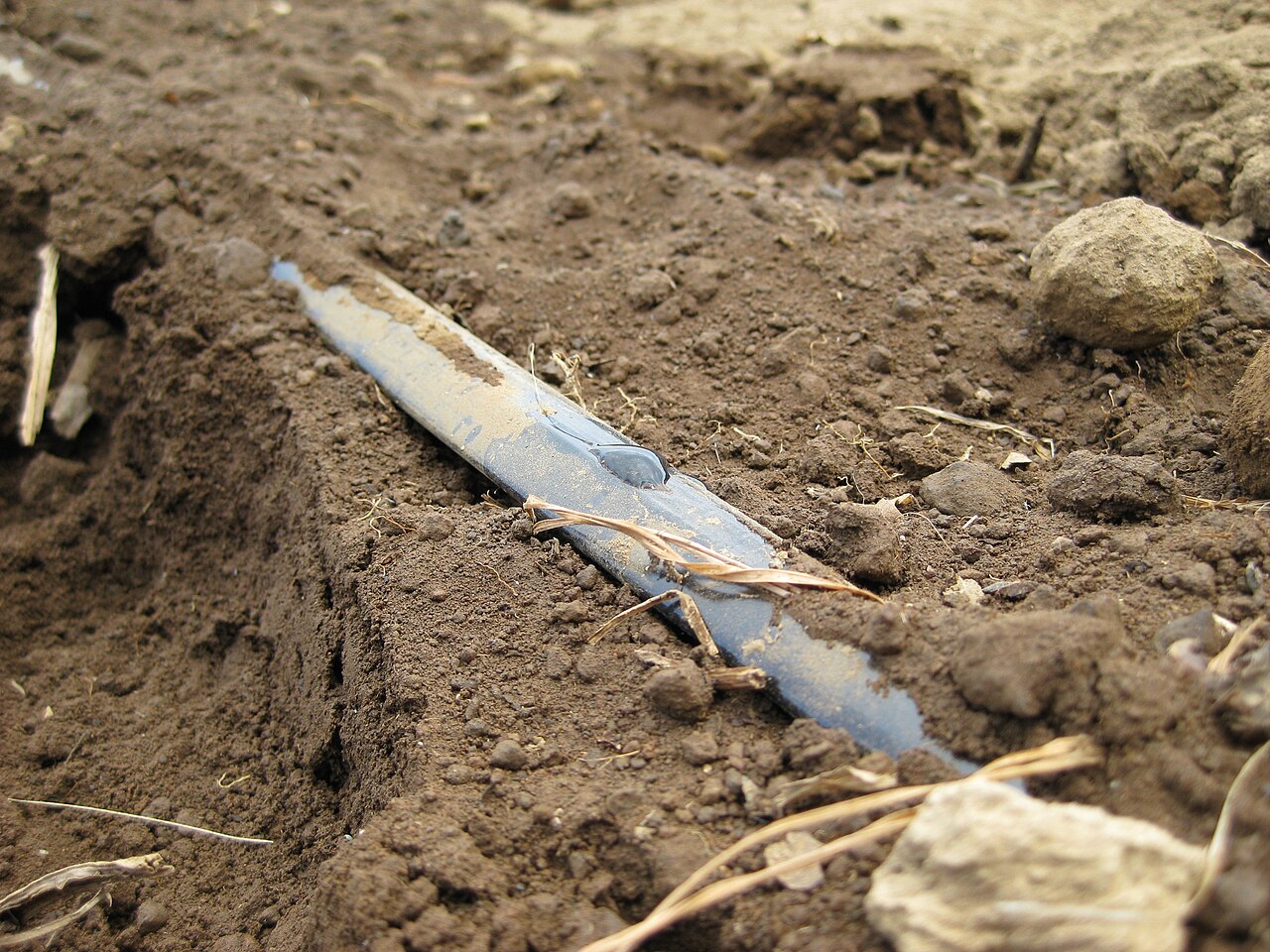 Nastro goccia a goccia (drip T-tape) che rilascia acqua nel suolo