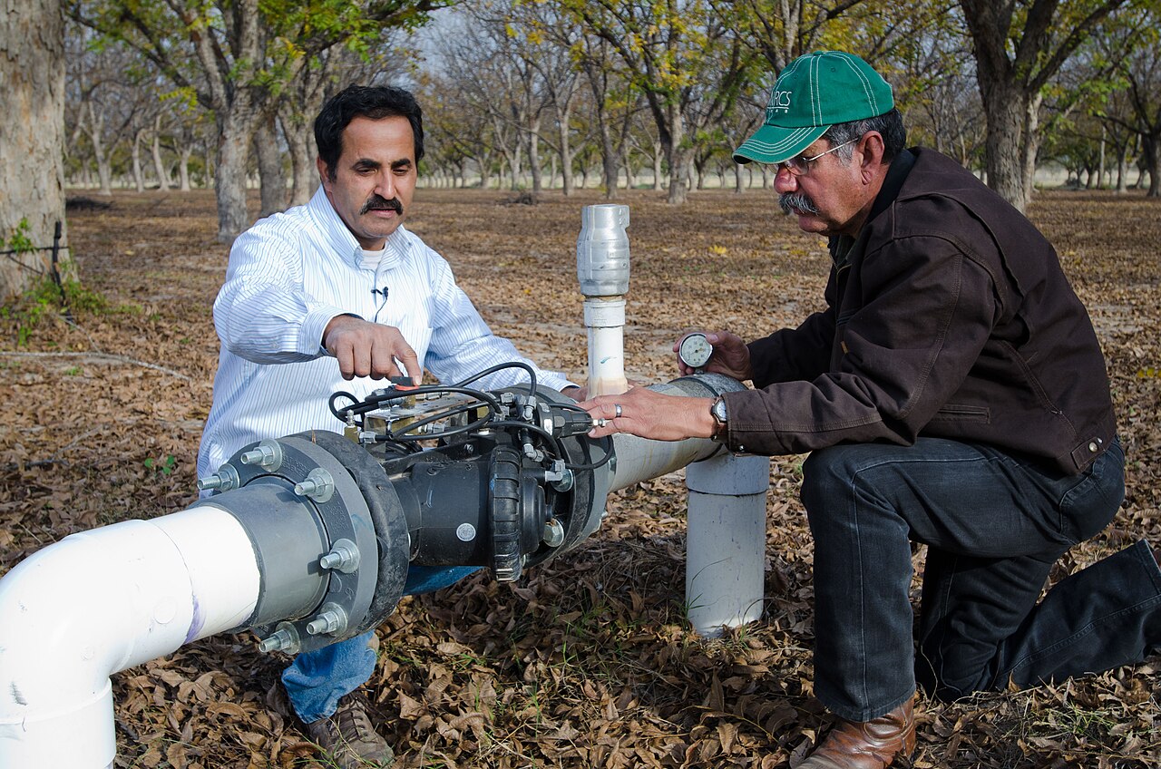 Tubo di alimentazione del sistema di irrigazione con valvola e misuratore di portata in una coltura arborea