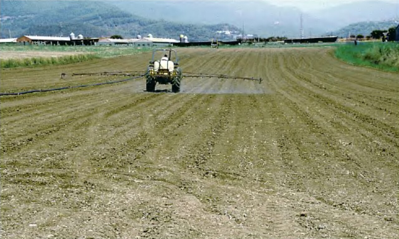 trattore che irrori campo di nocciole