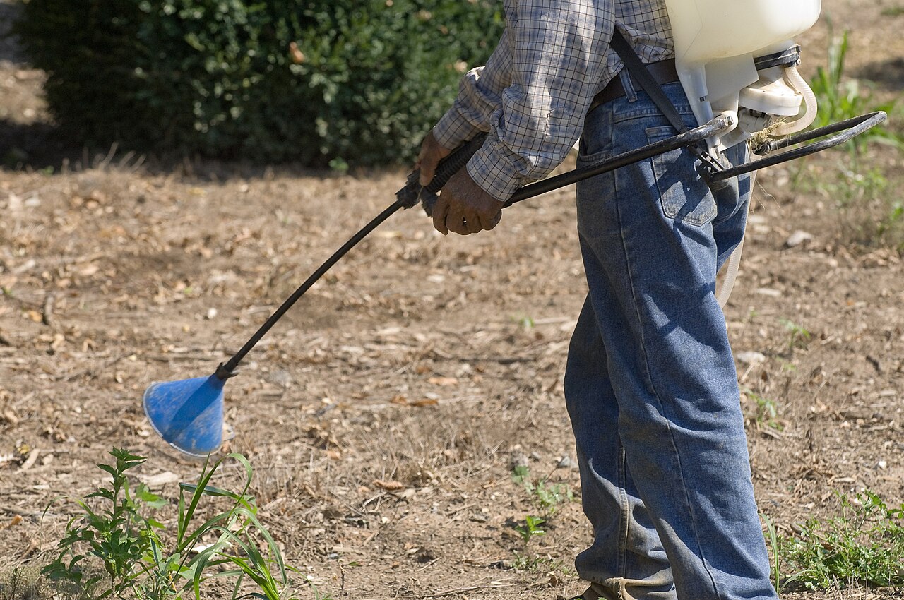 Agricoltore che irrori colture con atomizzatore zaino