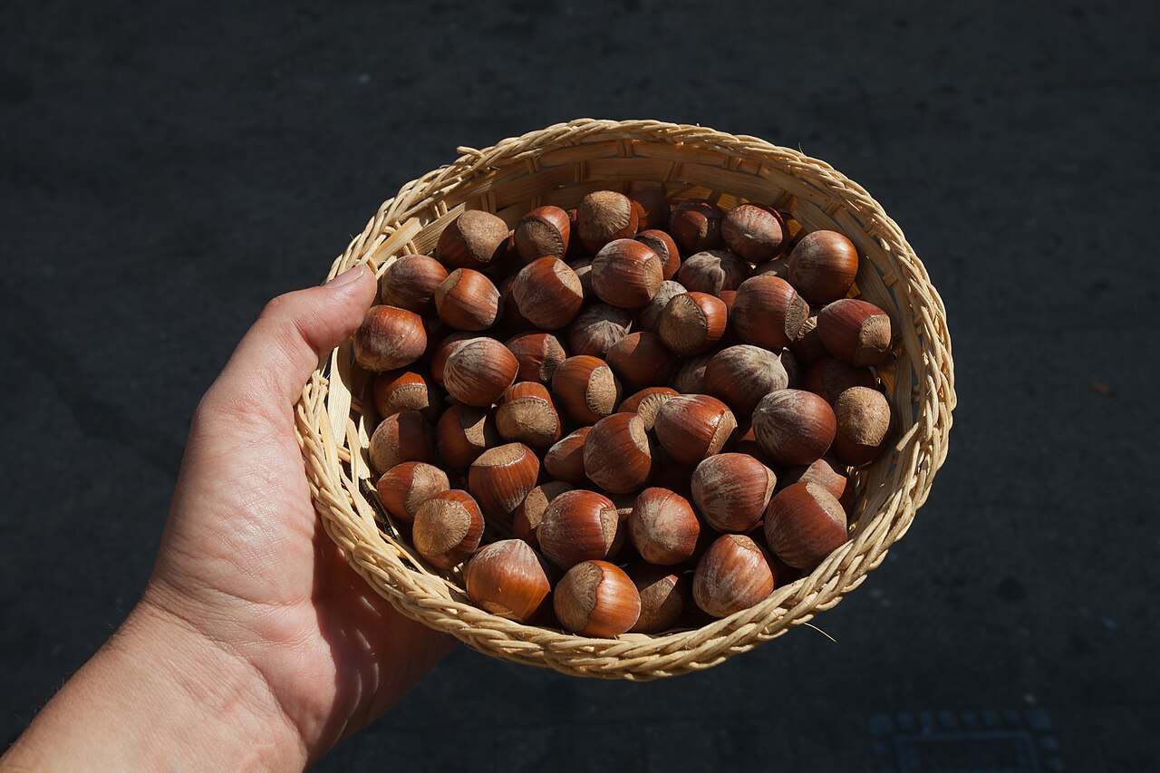 mano che tiene un cesto di nocciole