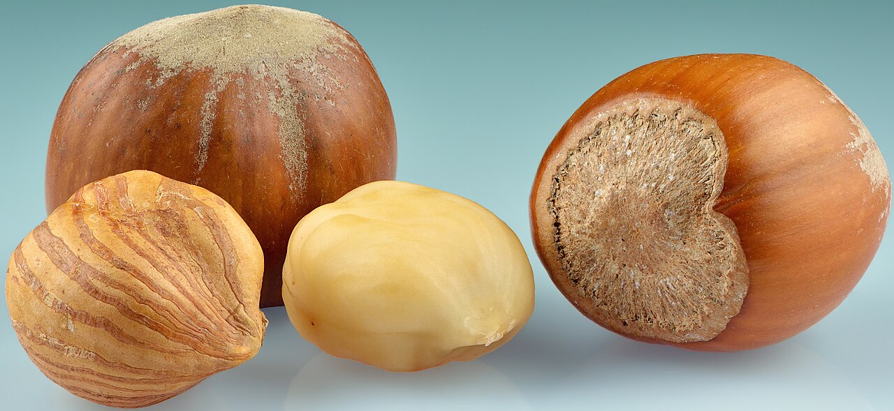 Nocciole con guscio e nocciole sgusciate