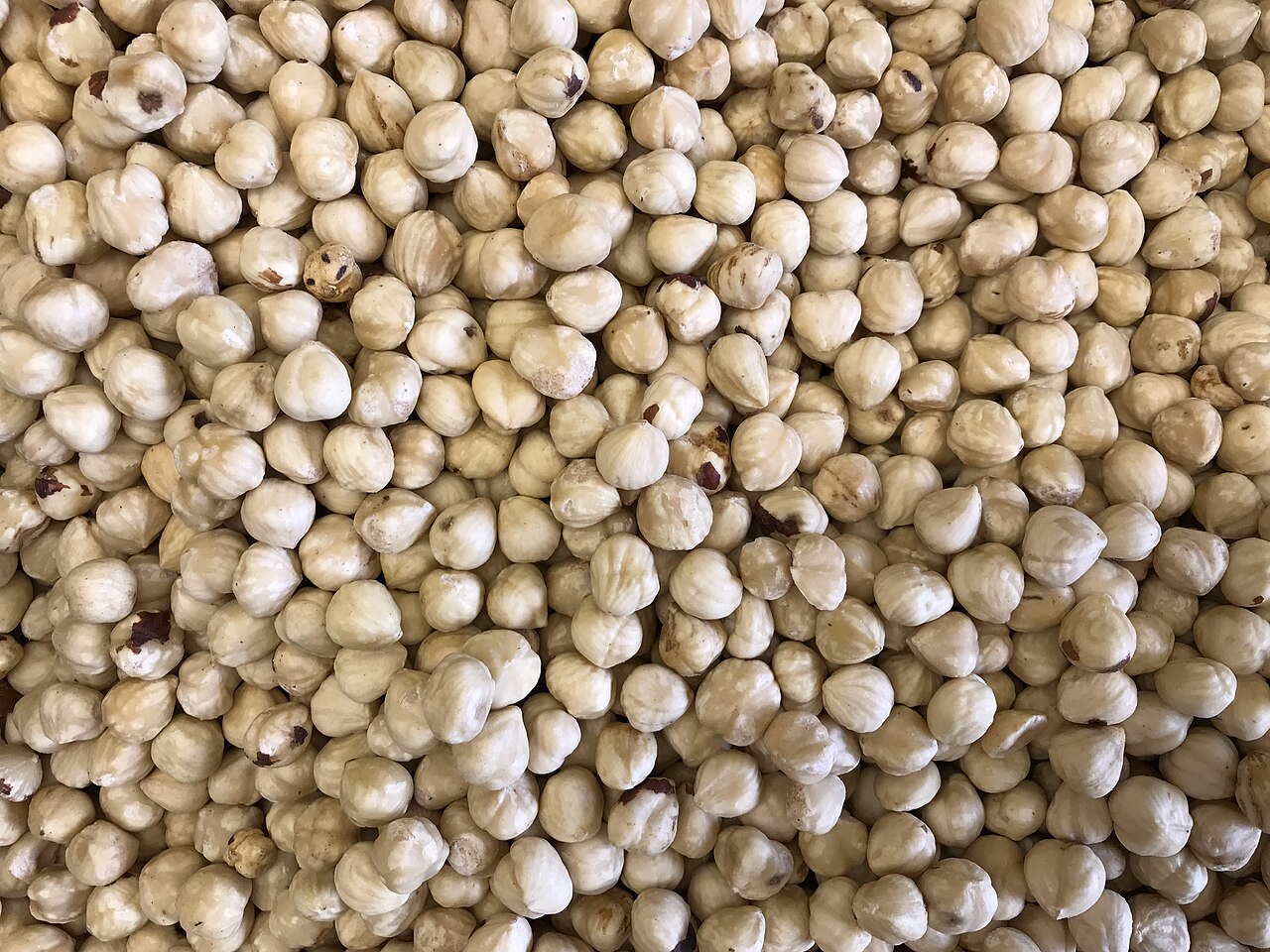 pile of shelled hazelnuts