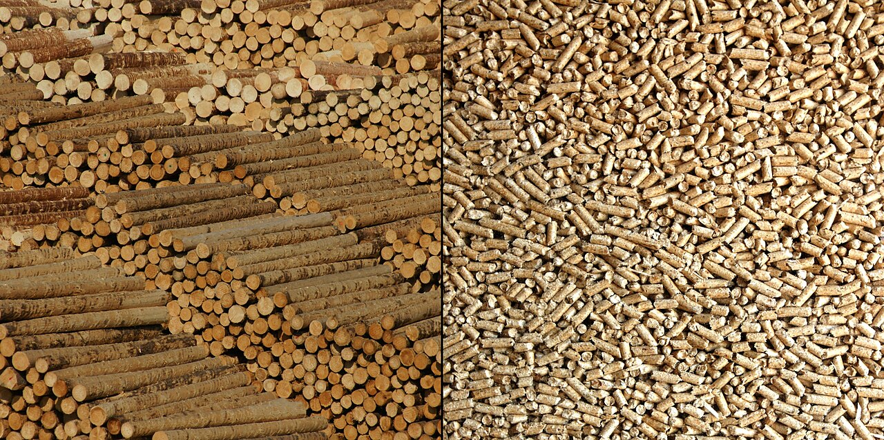 Pellet di legno — combustibile densificato; il guscio viene pelletizzato come additivo ad altra biomassa