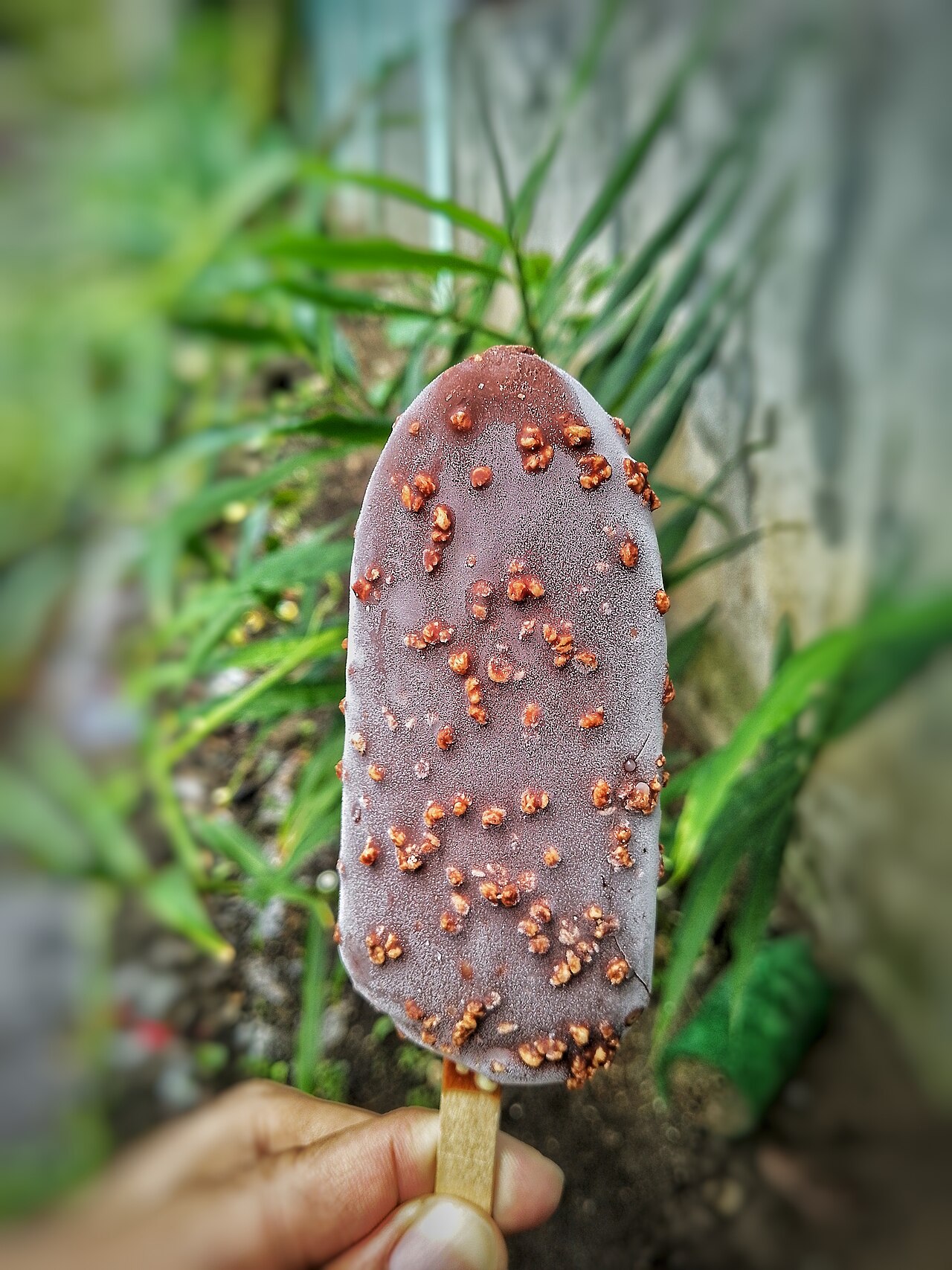 Barretta di gelato al cioccolato e nocciole