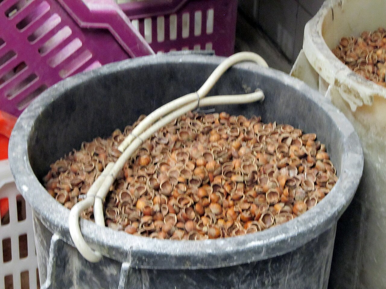 Gusci di nocciola come sottoprodotto della lavorazione