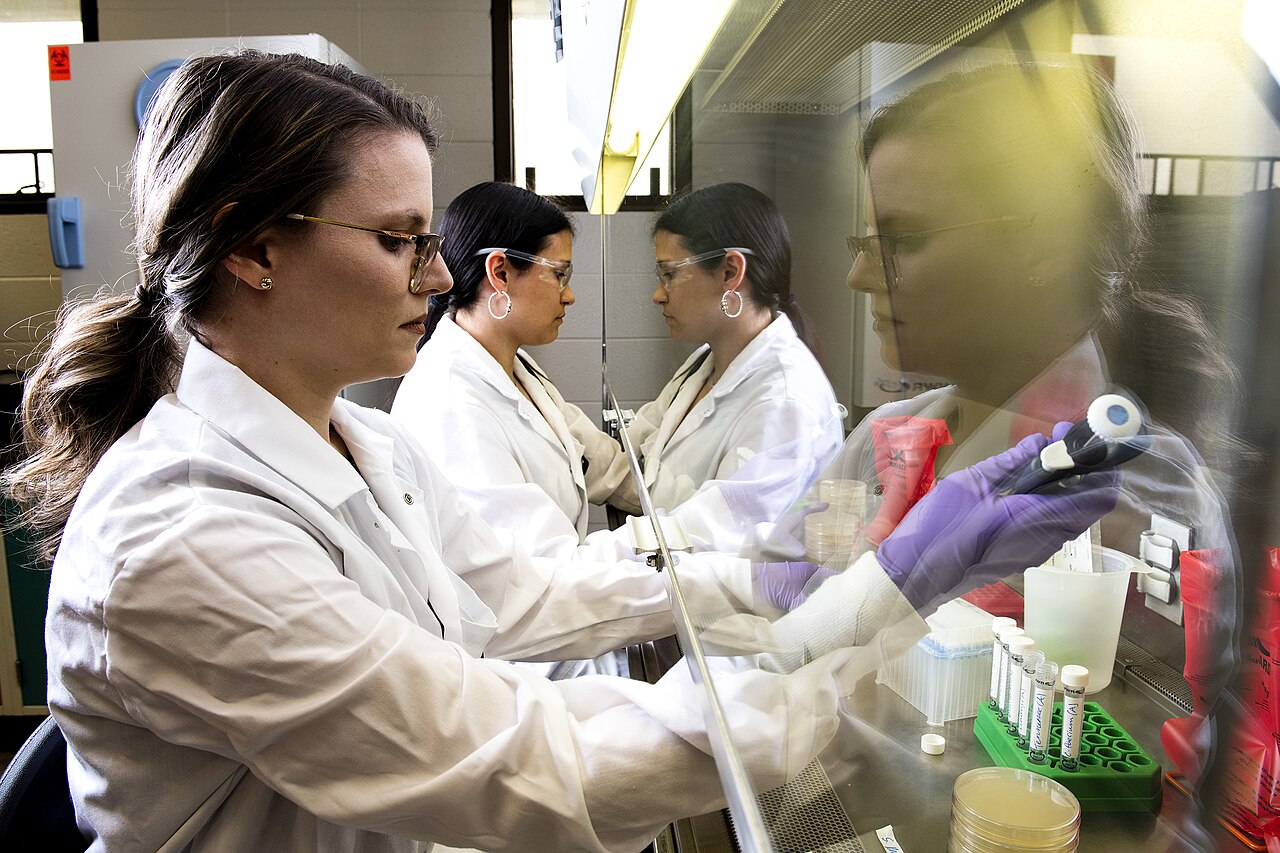 Scientists working in laboratory