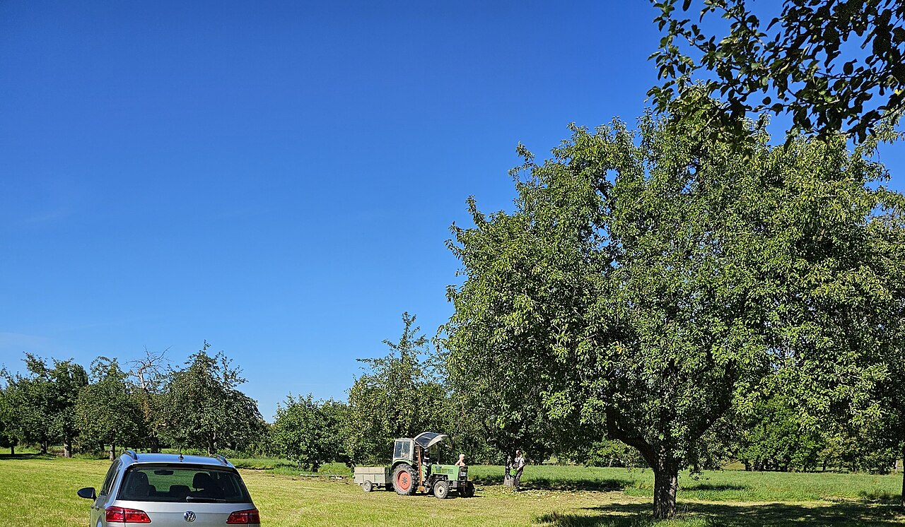 Macchina agricola in funzione, parte del parco macchine dell'azienda