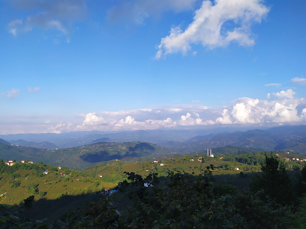 Paesaggio di nocciole turche