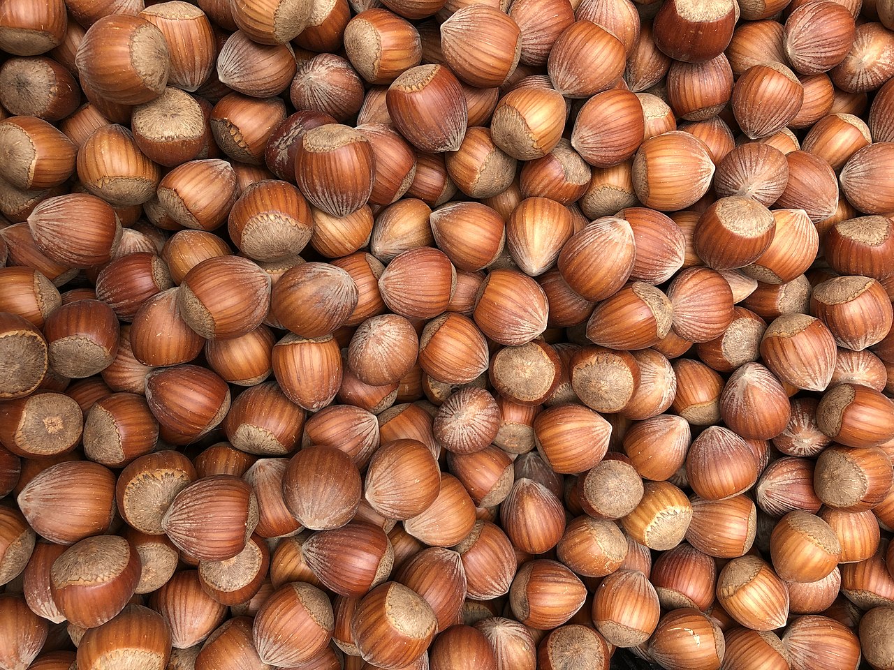 Nocciole in guscio pronte per l'acquisto
