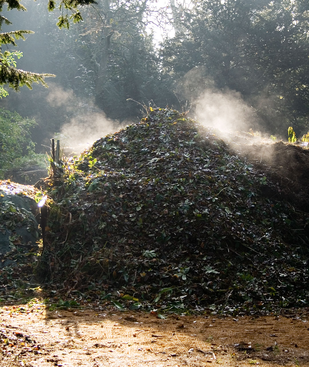 Compost — fertilizzante organico per mantenere la fertilità del suolo nella coltivazione biologica