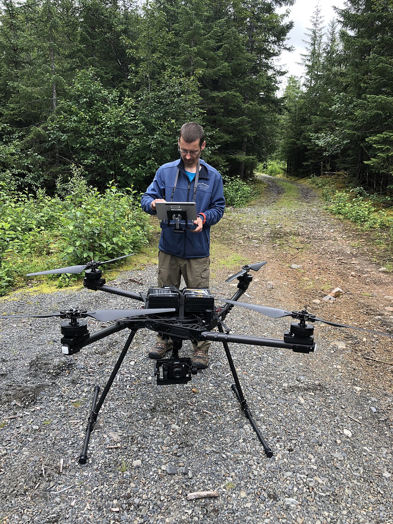 agricoltore che opera un drone nel noccioleto