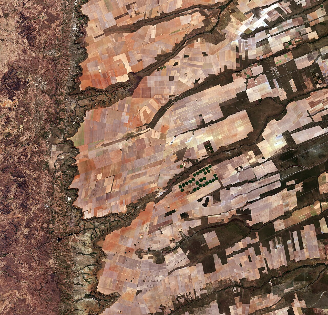 L'immagine satellitare Copernicus Sentinel-2 mostra una vasta area terrestre